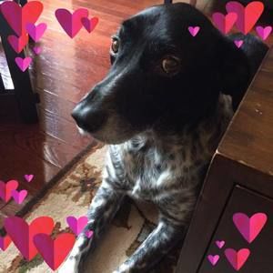 Meet your Posher, Anne